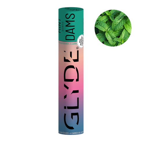 Sheer Glyde Dams Mint Box 4